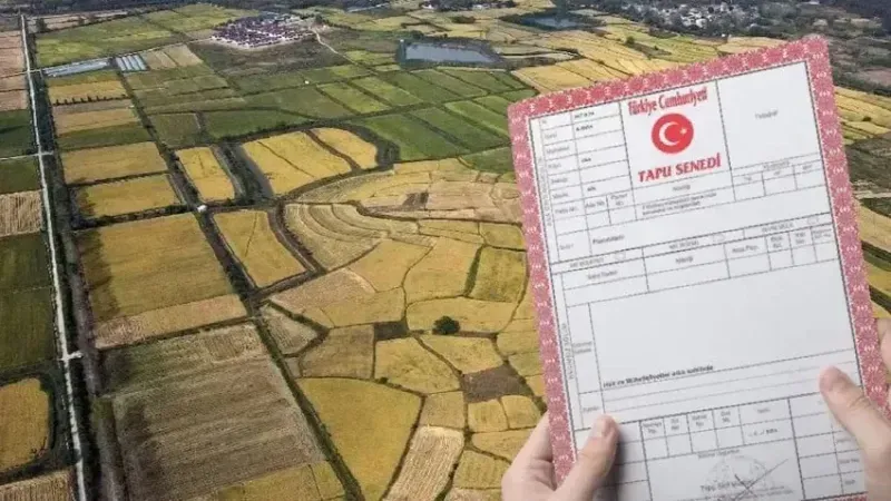 Tapu sahipleri için 31 Temmuz son şans: Ödeme yapmayan pişman olacak